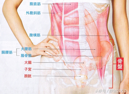 骨盘倾斜引起的妇科疾病！（产后骨盘复位是如此的重要）