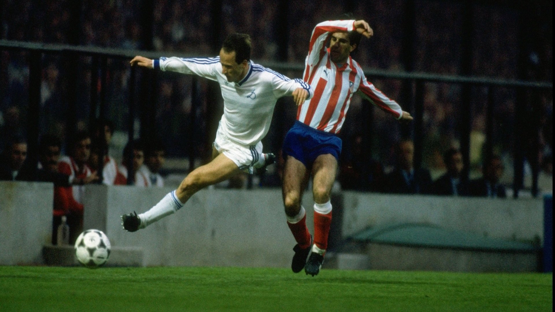 我们不可以重蹈覆辙,我们不能重蹈覆辙