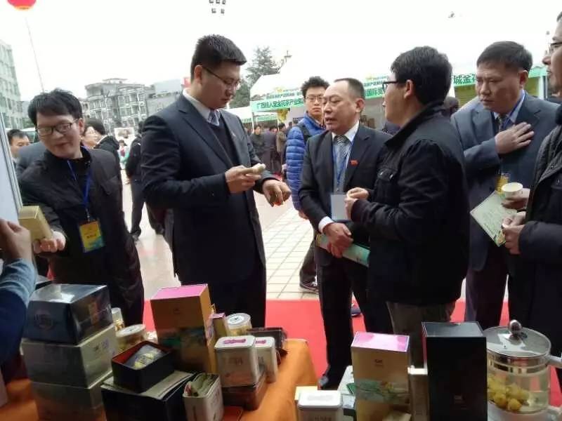 金花节开幕式,以花为媒非遗绽放花博会