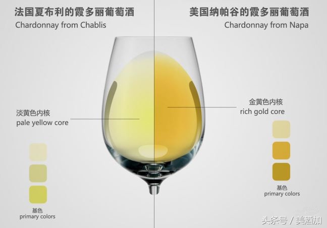 一直被全世界冤枉的白葡萄酒,等你来评理