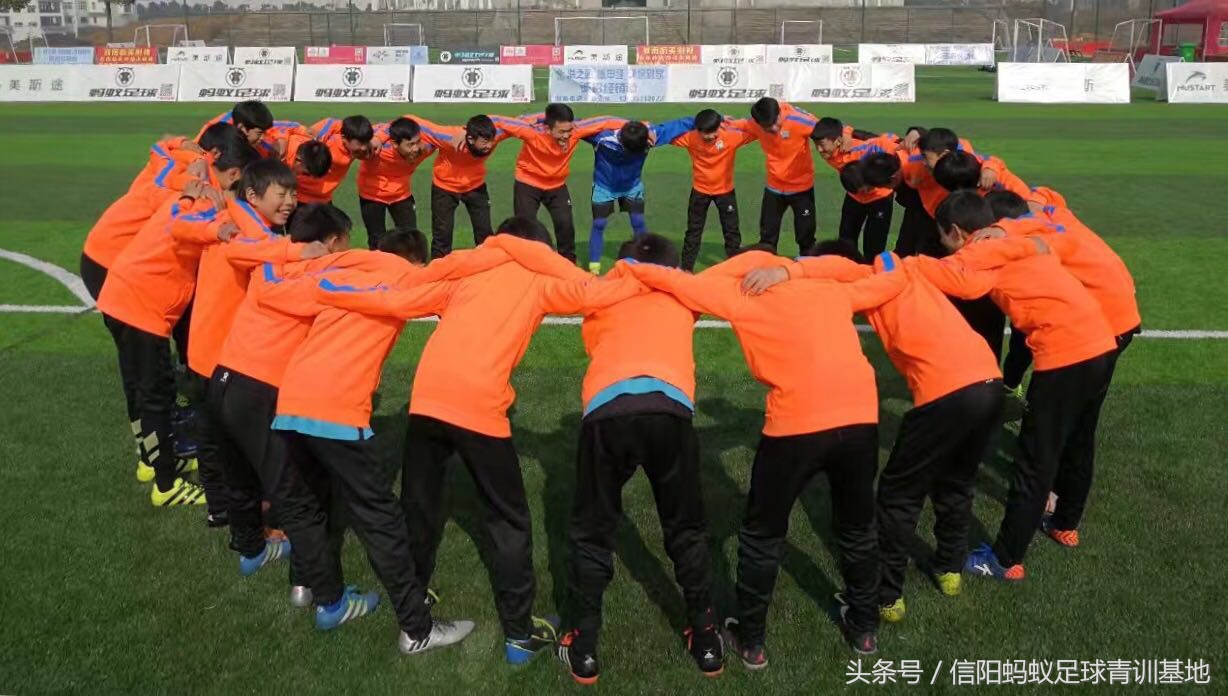 信阳蚂蚁足球俱乐部,暑期足球培训营青训