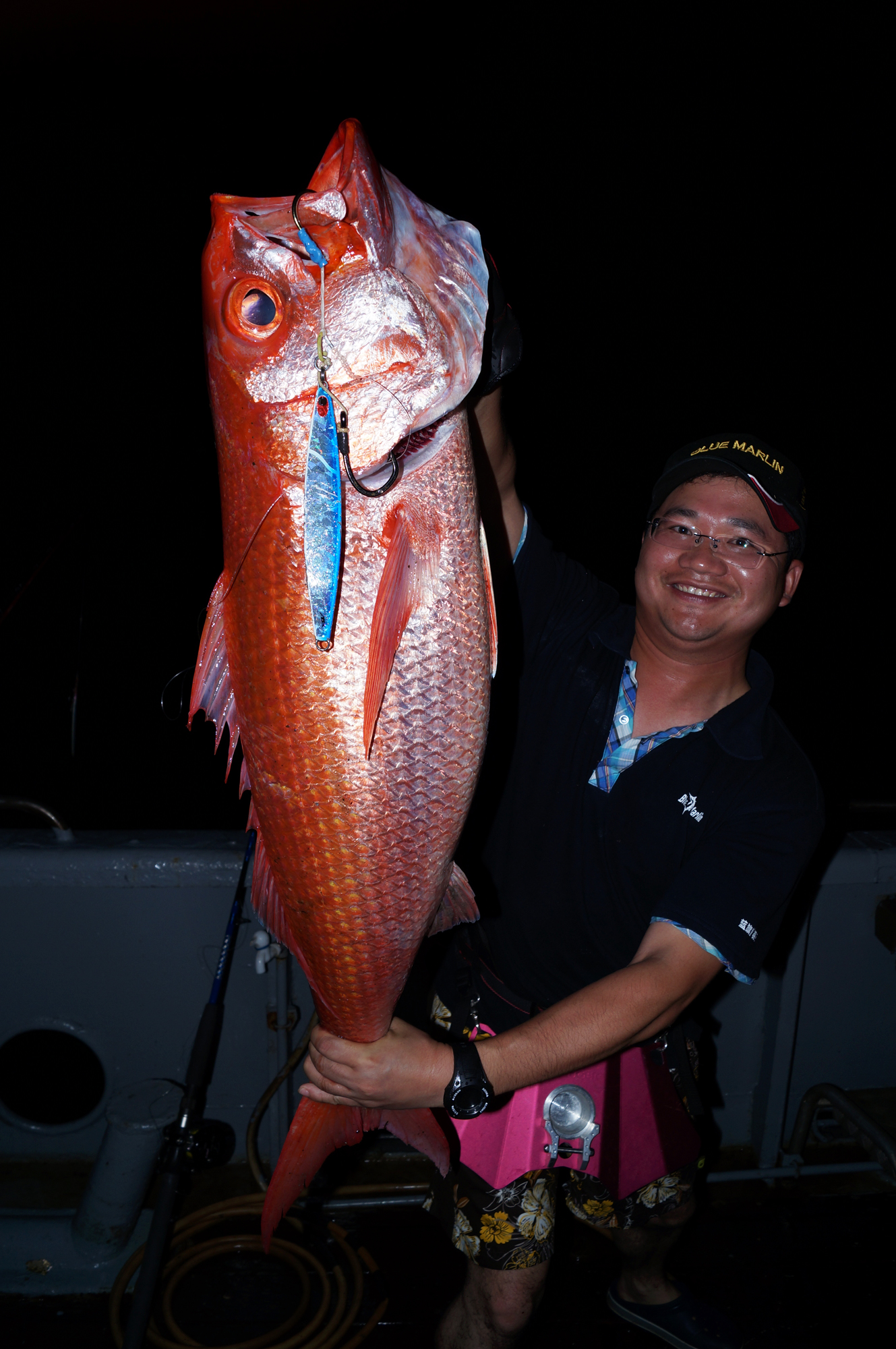钓鱼有哪些肉食性鱼,海洋钓鱼常见鱼类
