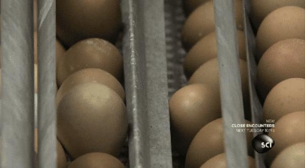 说出来你可能不信我是什么意思,说出来你可能不信是什么意思