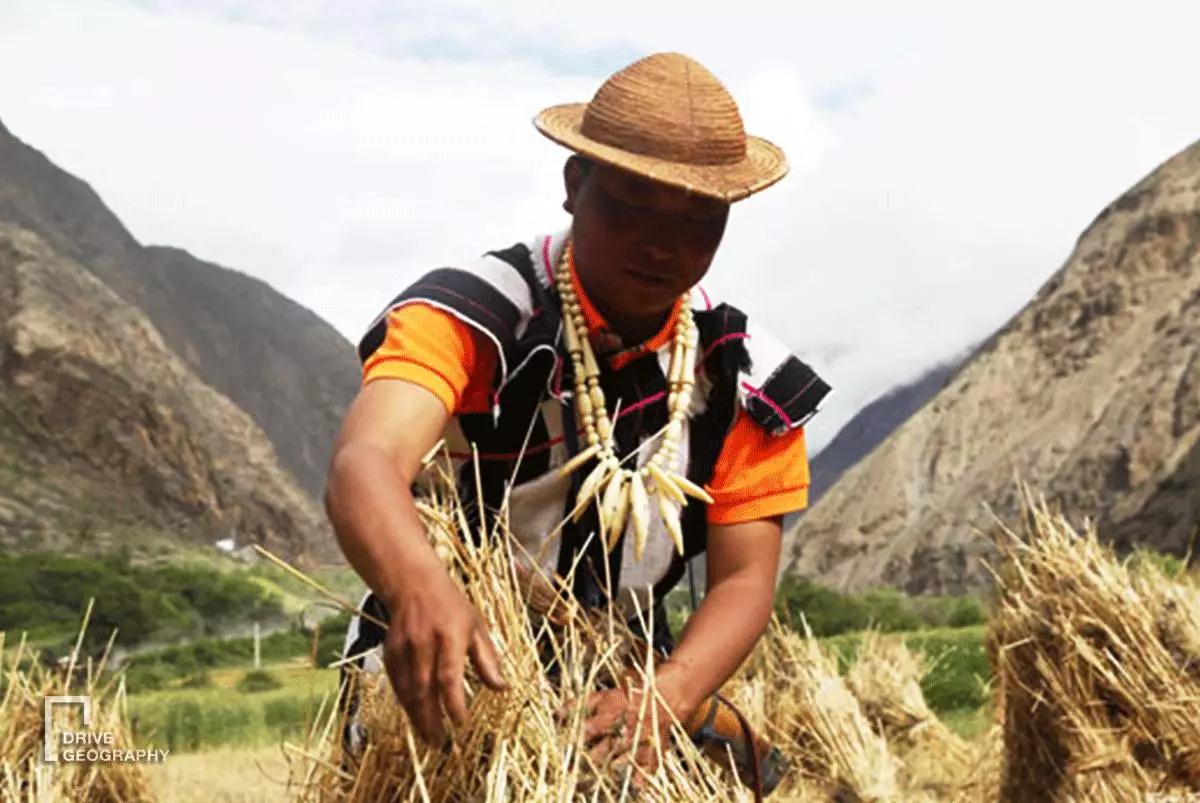 连联合国都赞不绝口的百里桃花，你真的不带她看一下吗？