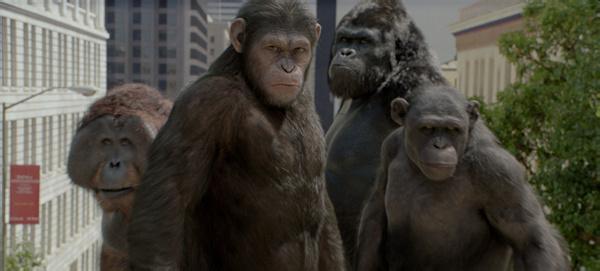 黑猩猩的脚与人类脚的区别,黑猩猩的脚有多大