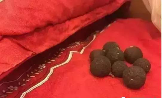 柑胎的用处，可别说你不知道