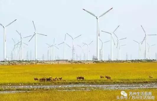 江苏各地级市gdp50年排名,2022江苏第一季度各市gdp公布时间