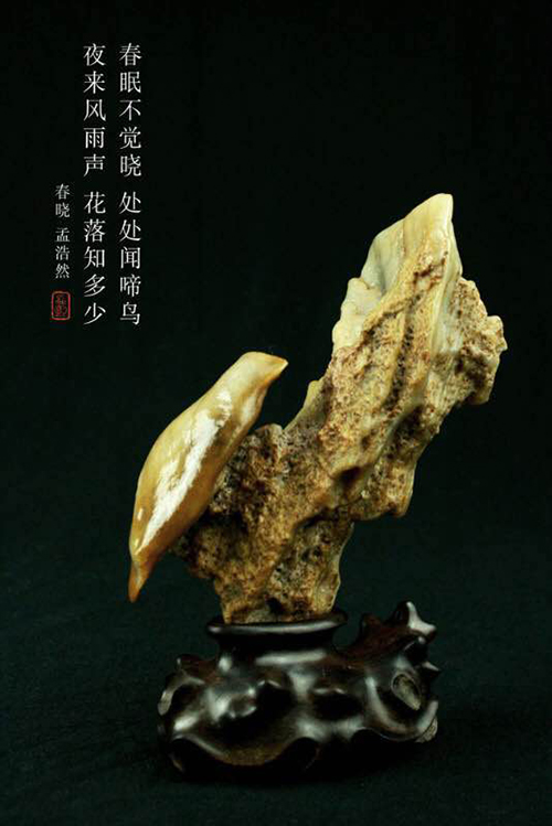 抱月轩主禹玉良藏石选集