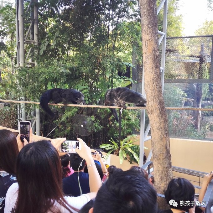 能在异国被警察抓也没谁了吧？这是我的清迈，和你去的不一样！