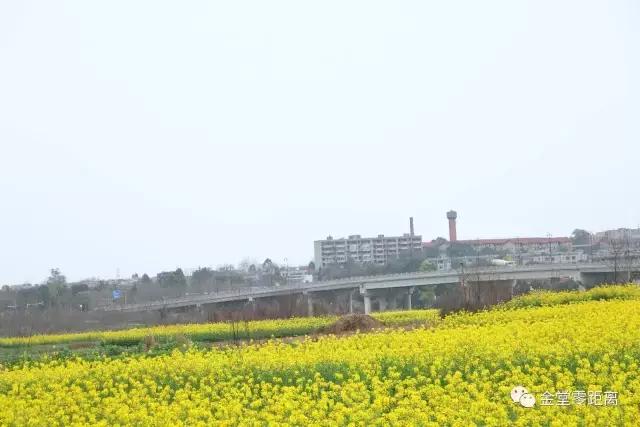 成都金堂一道美丽的风景线,水城之美