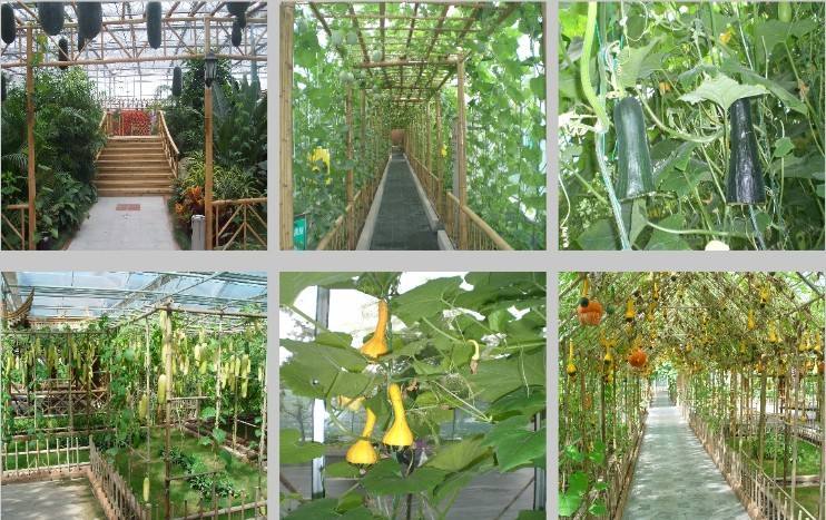 10个创业致富项目推荐,十大投资赚钱项目