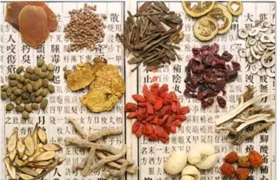 刘虎岐:想要种中草药赚钱,你先得了解它们!