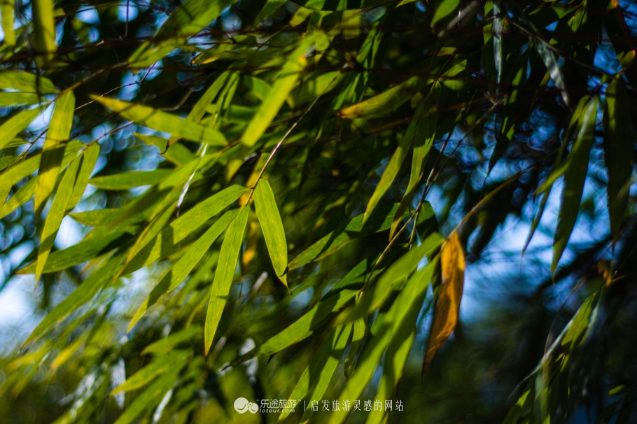 跟着镜头领略震撼心灵的景色,跟随镜头观人文与美景