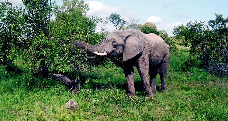 西双版纳3小时可以去哪,西双版纳五小时