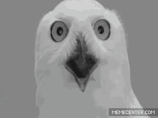 济南市全部学校要停学吗,济南这一区将新添两所学校