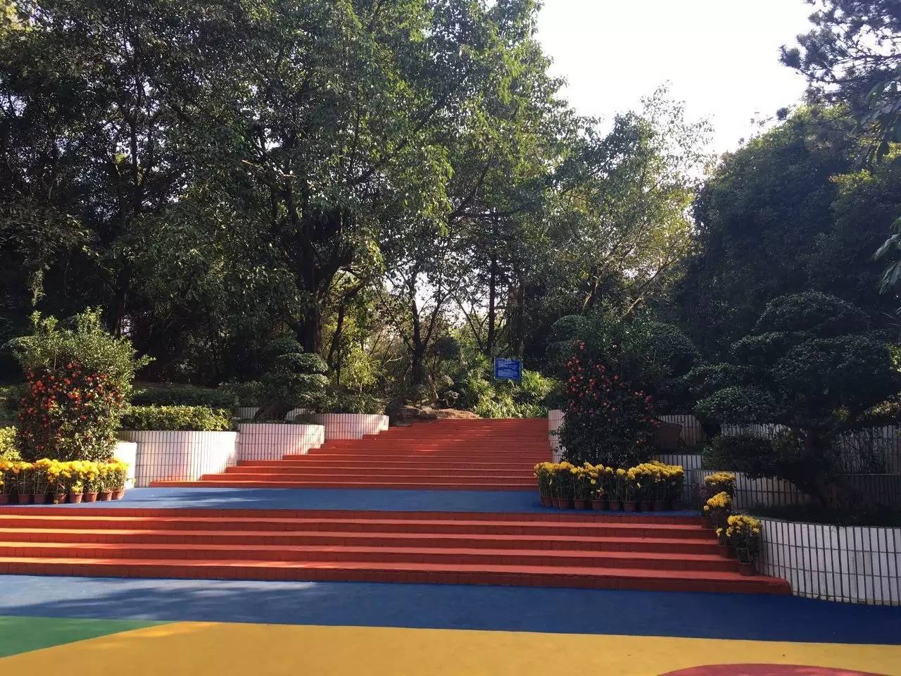 中山动物园有熊猫吗,中山公园动物园春节开放了吗