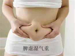 湿气重的喝什么茶护肝护肾,什么茶能护肝祛湿热