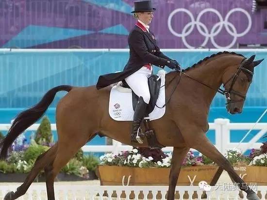 为何马术赛马骑手频频入选英国体育荣耀——BBC年度体育人物奖?