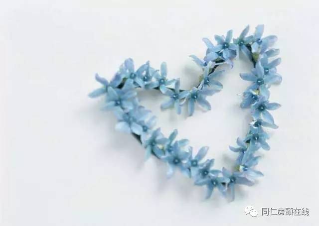 香豆素——一个美丽而陌生的名字