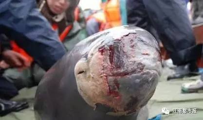 疼！一个铁钩，钩住的是全人类的的心