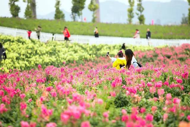 南宁适合春游前十个地方,南宁踏青去哪儿