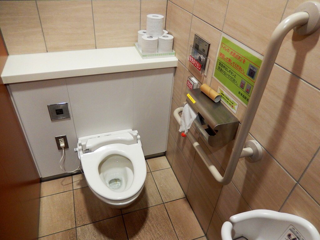 为什么日本人把厕所扔了,日本人为什么要扔卫生纸