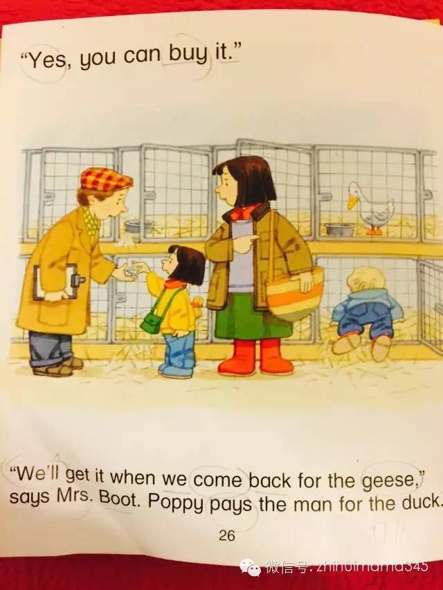 听西西读英文《农场故事集》第二篇：MarketDay