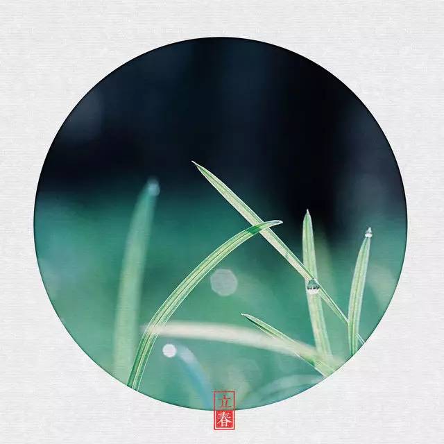 立春节气早安图片,立春美景图