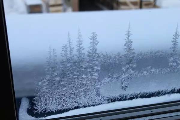 车上的雪不清理等自己化了可以吗,下雪了车怎么清理最快