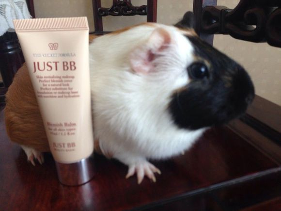 大家都来扒一扒那些年我们当过的BB小白鼠