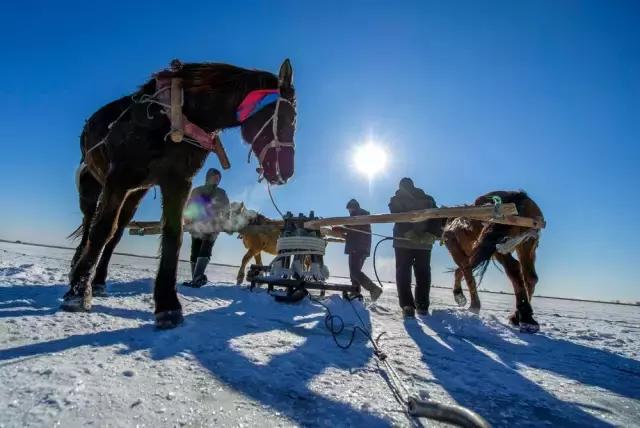去长春推荐住宿地点,长春旅游比较好的酒店