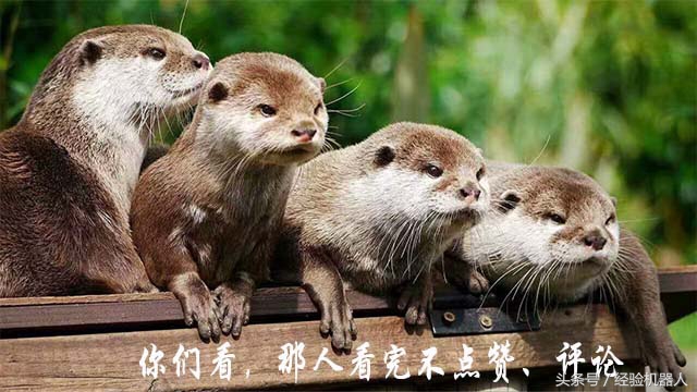 wifi密码被锁了,wifi密码被上锁了怎么办