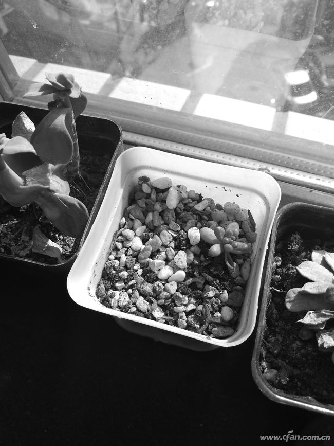 现在最近荣耀v9价格,荣耀v9价格变化