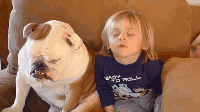 春困烦恼最好的解决方法,春眠不觉晓春困如何治疗