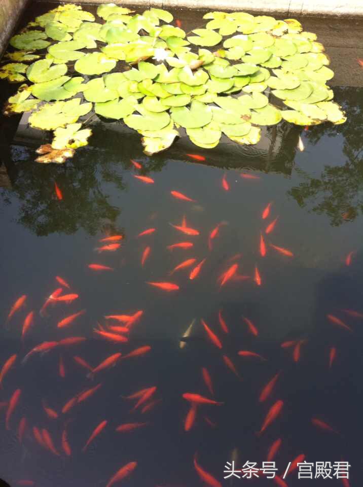 无锡东林书院历史,历史上的东林书院