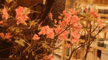 来去不由人聚散皆是缘,往来皆过客天地是知音