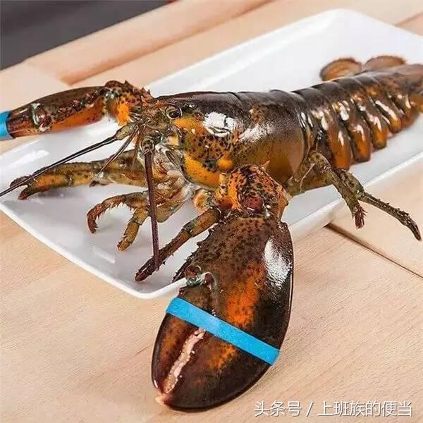 罗氏虾和明虾基围虾图片对比,如何分辨罗氏虾明虾