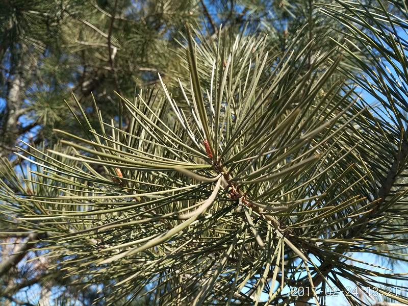 测评360n5,360n5好不好