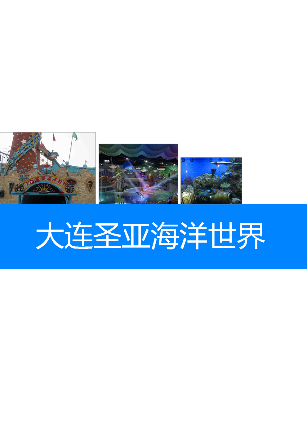 大连圣亚海洋世界坐几路公交车,大连圣亚海洋世界飞鸟萌宠乐园