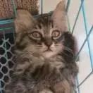 万事屋时光机开启,穿越回去看看一年前的你