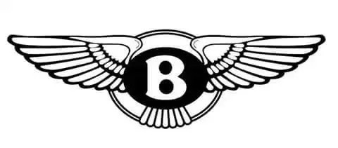 8个你不知道的车标知识,你所不知道的车灯是什么