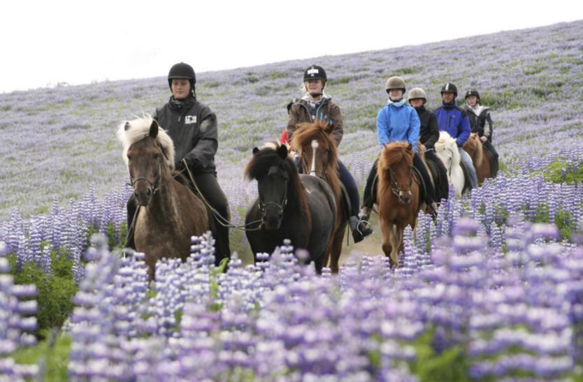 北纬66度地形图,北纬66度的纬线