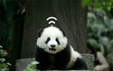 抱大腿暴富后续,抱大腿走上人生巅峰