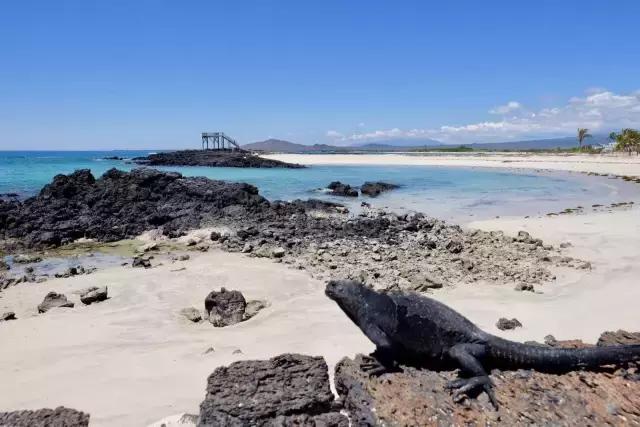 这才是旅行的样子,从亚洲至南美洲,他比我们多了点勇气和决心