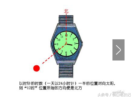 强大的生存技能,野外的生存技能