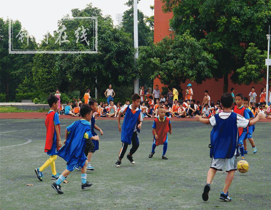 番禺区钟村街道幼儿园,番禺钟村公立幼儿园