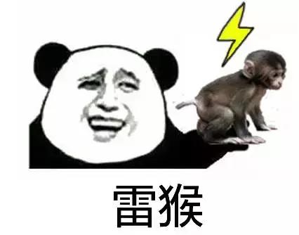 泸州生活指南,生活指南全部