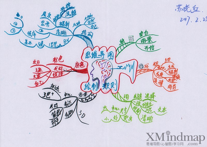 关于新鲜的思维导图手绘,手绘思维导图创意漂亮