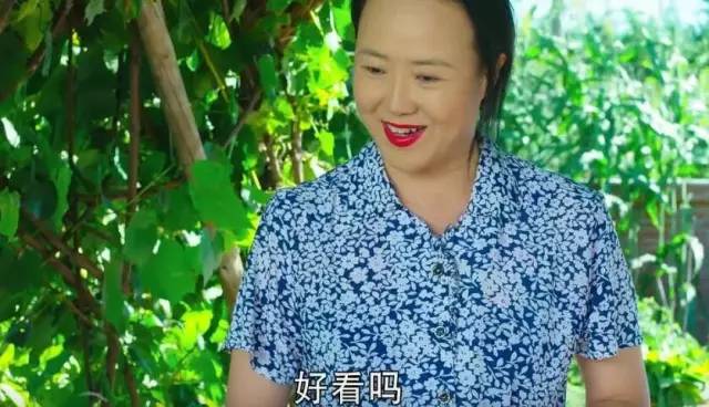 会说话的刘能,盘点刘能说话有多逗