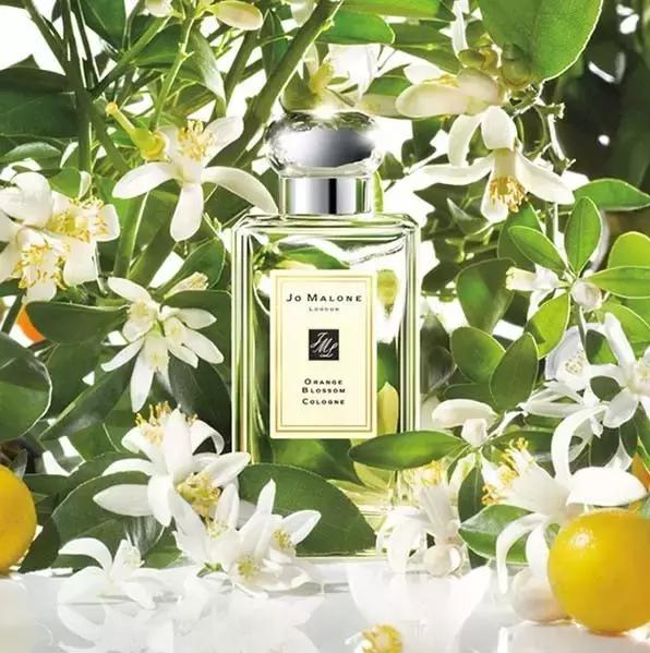 有品味香水推荐,有气质的大牌香水